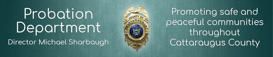 probation banner with badge and shortened mission statement