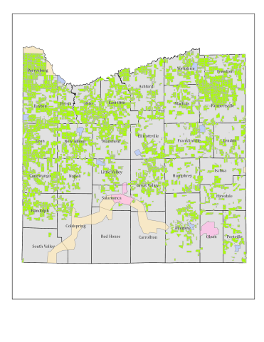 Simple map of Cattaraugus County Agricultural District 5