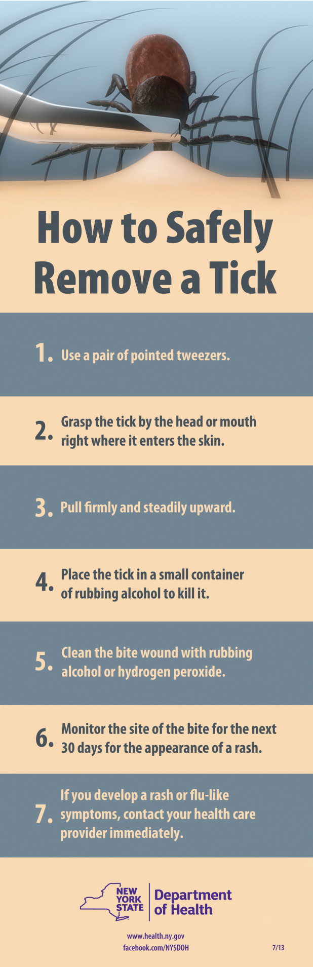 How to safely remove a tick adlet